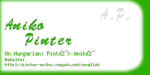 aniko pinter business card